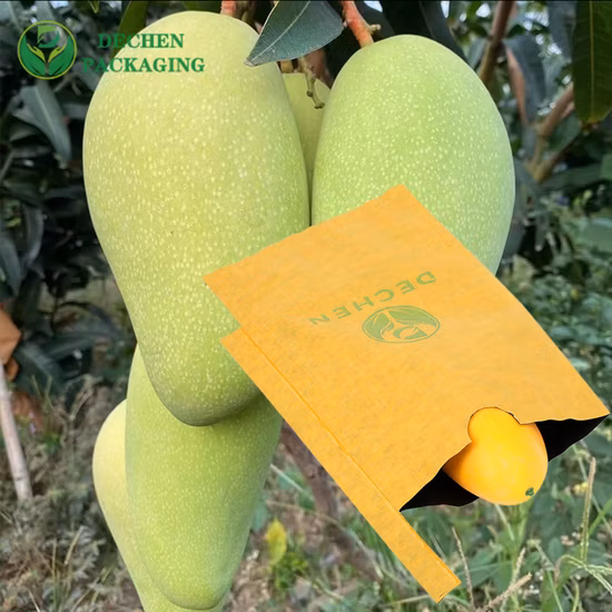 Poignées adaptées aux besoins du client de sac de protection de fruit de papier résistant à l'eau de raisin