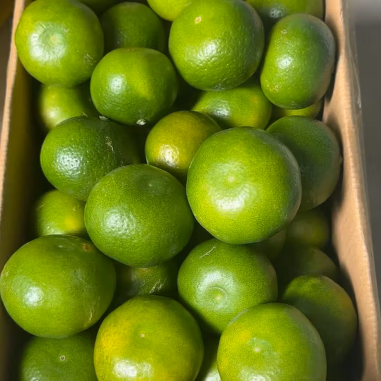 Fruits secs, fruits santé, mandarine, faible teneur en So2