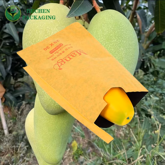 Fournisseur imperméable de protection du sac en papier de mangue de couverture de fruits